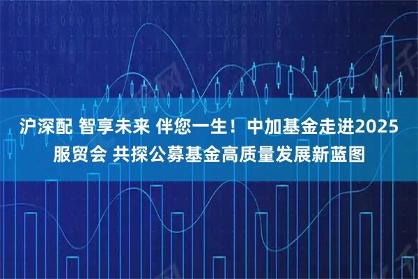 沪深配 智享未来 伴您一生！中加基金走进2025服贸会 共探公募基金高质量发展新蓝图