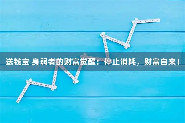 送钱宝 身弱者的财富觉醒：停止消耗，财富自来！
